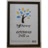 Фоторамка 21*30 Юг багет 1515 б\з ДВП+скло  з/н бронза