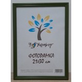Фоторамка 21*30 Юг багет 1515 б\з ДВП+скло  з/н зелений