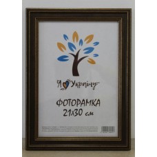 Фоторамка 21*30 Юг багет 3220 ДВП+скло з/н бронзовий