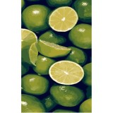 Картина за номерами Стратег 50*25см