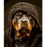 Картина за номерами Стратег 40*50см