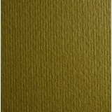 Картон кольоровий для пастелі Murillo 10 oliva А4 (21х29, 7 см) 360 г/м.кв. Fabriano Італія