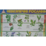 Плакат ''Небезпечнi рослини'' Плакат ''Небезпечнi рослини''