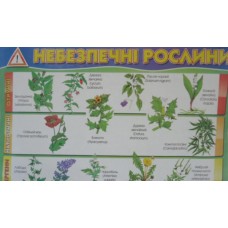 Плакат ''Небезпечнi рослини'' Плакат ''Небезпечнi рослини''