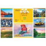 Альбом ТЕТРАДА клеєний А5 24 арк 120г/м2, ТЕ46