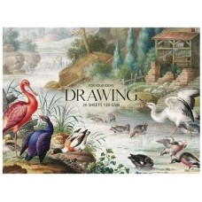 Блок для малювання PB-GB-020-050 на склейці ''Drawing'' А5+, 150г/м2, 20 арк.MUSE Блок для малювання PB-GB-020-050 на склейці ''Drawing'' А5+, 150г/м2, 20 арк.MUSE