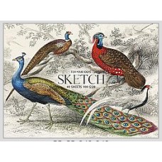 Блок для ескізів PB-GB-040-048 на склейці ''Sketch'' А5+, 100г/м2, 40 арк. MUSE