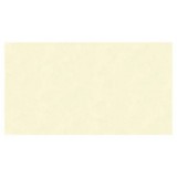 Папір кольор. для пастелі Rusticus 00 bianco A3, (29.7x42см) 200 г/м.кв. 10293200