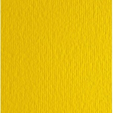 Картон кольоровий для пастелі Elle Erre 07 giallo А4 (21х29, 7 см) 220 г/м.кв. Fabriano Італія