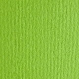 Картон кольоровий для пастелі Elle Erre 10 verde pisello А4 (21х29, 7 см) 220 г/м.кв. Fabriano Італія