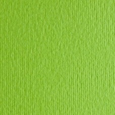 Картон кольоровий для пастелі Elle Erre 10 verde pisello А4 (21х29, 7 см) 220 г/м.кв. Fabriano Італія