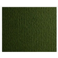 Картон кольоровий для пастелі Murillo 11 verdone 50х70 см 360 г/м.кв. Fabriano Італія