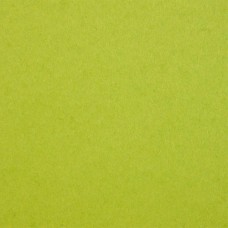 Картон дизайнерський Colore 52 lime 50х70 см 200 г/м.кв. Fabriano Італія