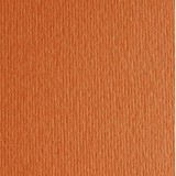 Картон кольоровий для пастелі Elle Erre 26 aragosta А4 (21х29, 7 см) 220 г/м.кв. Fabriano Італія