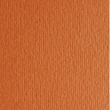 Картон кольоровий для пастелі Elle Erre 26 aragosta А4 (21х29, 7 см) 220 г/м.кв. Fabriano Італія
