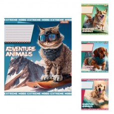А5/18 лін. 1В Adventure animals, зошит учнів.