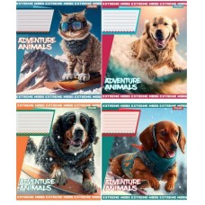 А5/18 кл. 1В Adventure animals, зошит учнів.