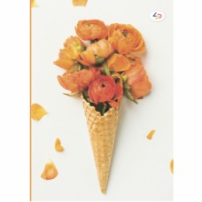 Блокнот Profiplan В6 80 стор ''Color of mood'' orange в точку 50520