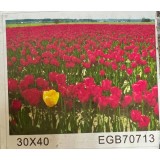 Діамантовий живопис Вітел 20*30