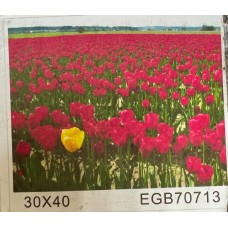 Діамантовий живопис Вітел 20*30 Діамантовий живопис Вітел 20*30