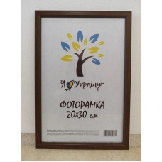 Фоторамка 20*30 вишнева Юг багет 1511 ДВП+скло б/н