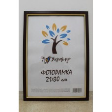 Фоторамка 21*30 Юг багет 1511 ДВП+скло б/н коричнева з золотою вставкою