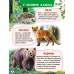 Велика книга ПЕГАС А4 ЗНАНЬ ДЛЯ МАЛЮКІВ